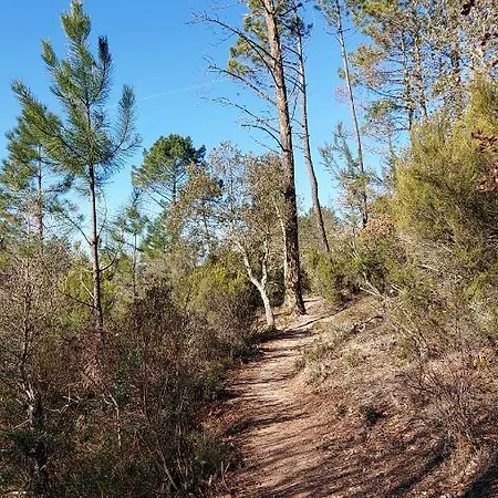 Les Roches De Baudisset Saint-Paul-en-Foret