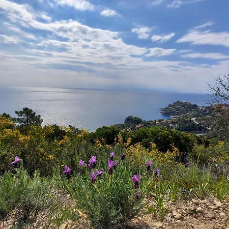 Bed & Breakfast Les Roches De Baudisset